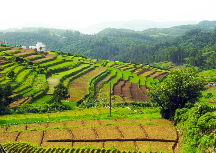 Kookal, Tamil Nadu